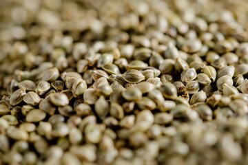 Obraz premium Macro photograph of hemp seeds