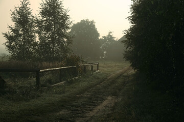 Morning on the farm