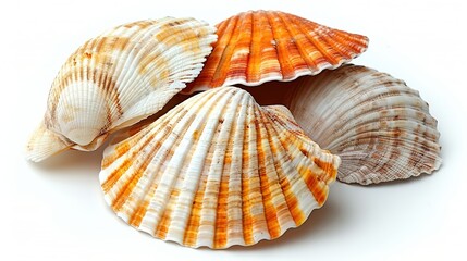 Obraz premium Three seashells on a white background, one is orange and has white stripes