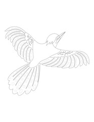Obraz premium hand drawn sketch of a bird isolated coloring page