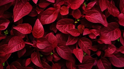 red background