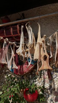 fish skins drying in the sun at the entrance of a house in a tourist fishing village in northern Spain on vacation on a sunny day, vertical shot