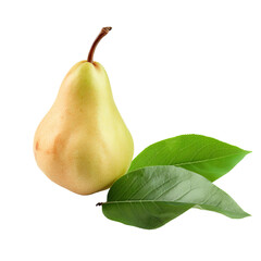 pear on a branch