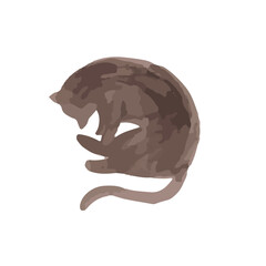 Watercolor Cat