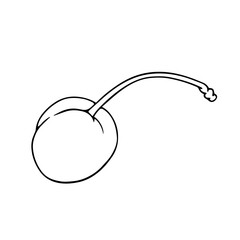 Linear botanical sketch, outline of cherry berries. Vector graphics.