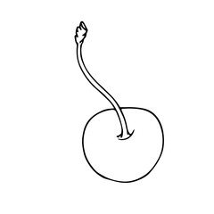 Linear botanical sketch, outline of cherry berries. Vector graphics.
