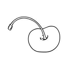 Linear botanical sketch, outline of cherry berries. Vector graphics.
