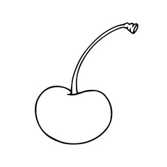 Linear botanical sketch, outline of cherry berries. Vector graphics.