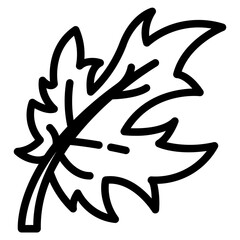 Fototapeta premium maple leaf