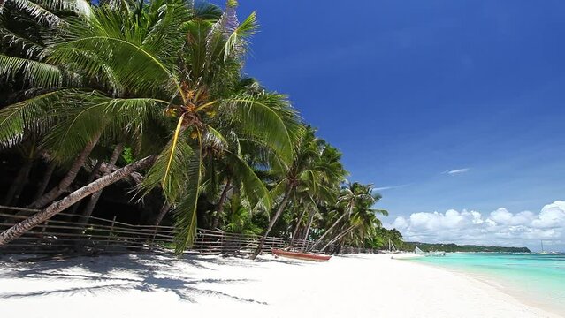 Pristine beach with palm trees, white sand and turquoise tropical sea. Travel destination. Nobody