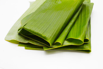Green leaves of banana tree