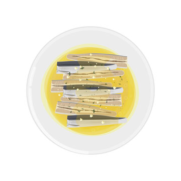 sardines in oil on white plate clip art preview