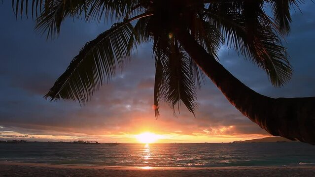 Tropical sunrise. Silhouette of coconut palm trees on the beach. Travel destinations. Nobody