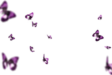 Realistic Color Butterfly Insect Flying Magical Wonderland Special Effects Photos Layered PNG Cutout Free Post Production PSD Template Materials