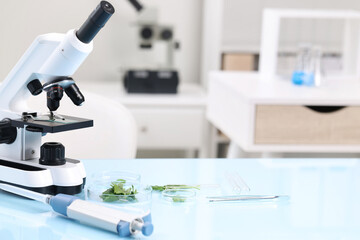 Food quality control. Microscope, petri dishes with herbs and other laboratory equipment on light blue table