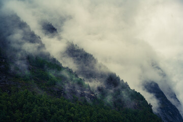 Misty Mountain Forest in Norway