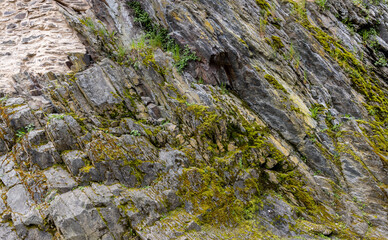 wall made of old stone overgrown with plants and moss
