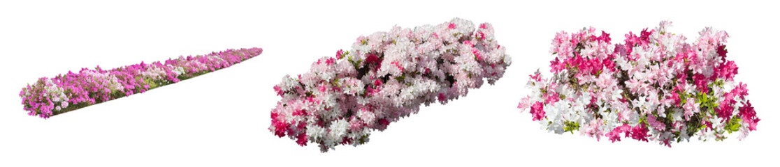 ツツジサツキ樹木切り抜きセット透過PNG背景白