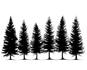 Obraz premium set of silhouettes of trees on white 