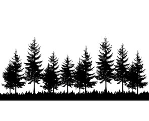 Fototapeta premium set of silhouettes of trees on white 