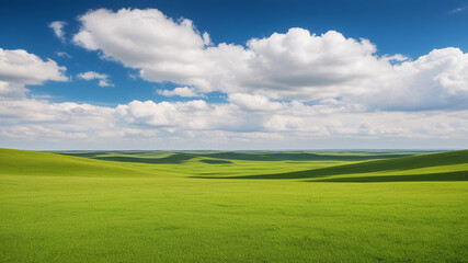 green field and blue sky