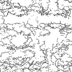 Fototapeta premium Trees pattern seamless drawing