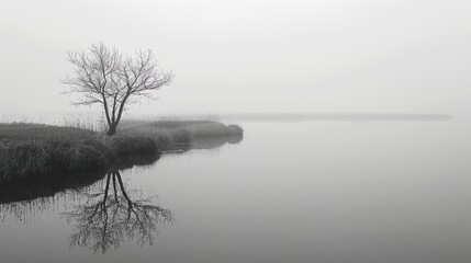 A grayscale landscape, the beauty of nature in shades of gray.