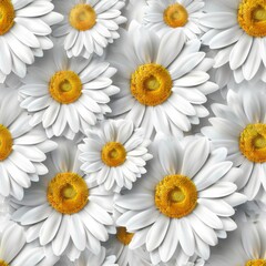 Obraz premium Delightful Daisy Pattern
