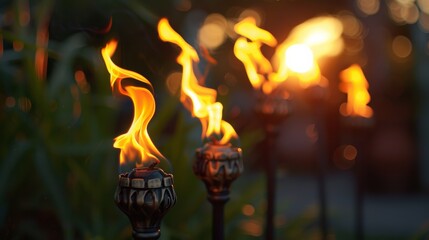 Fire in the Garden Torches