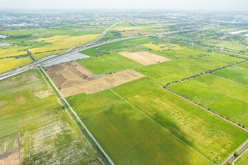 aerial view from flying drone of Field rice with landscape green pattern nature background, top view field rice