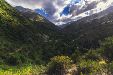 panorama with a view of the green gorge in the Tien Shan mountains in summer in Kazakhstan in the Aksu-Dzhabagly Nature Reserve