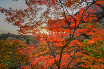 Landscape View Of Kiyomizu-Dera Temple And Cityscape With Beautiful Sunset, Higashiyama District, Kyoto, Japan