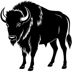 illustration of a bull