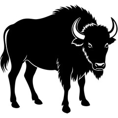 illustration of a bull