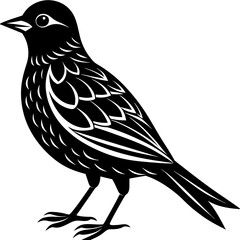illustration of a bird