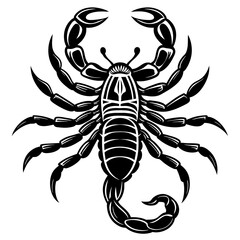 scorpion tattoo vector
