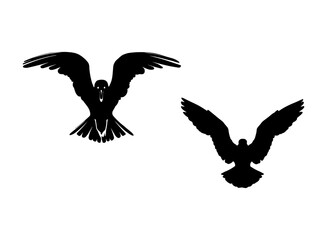 Set of black seagull silhouettes on white background
