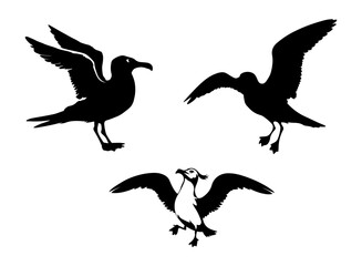 Set of black seagull silhouettes on white background