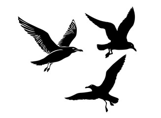 Set of black seagull silhouettes on white background
