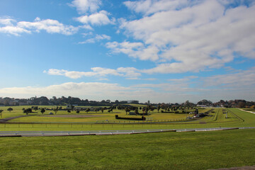 landscape with cows in the field