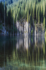 landscape with a beautiful lake with blue water and tree trunks of a sunken forest in summer. Kaindy Lake in the Tien Shan mountains in Kazakhstan near Almaty