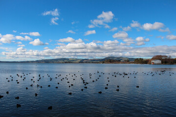 landscape of lake view, New Zealand