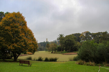 autumn landscape in the park