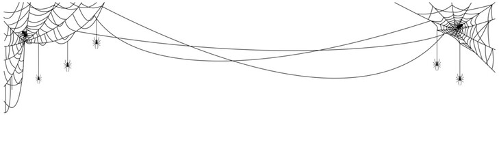 spider web halloween day