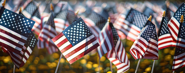 american flag in the wind