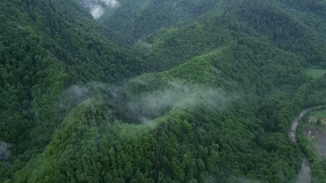 Above View Abundant Forest Mountains Near Lepsa, Vrancea County, Romania. Aerial Shot