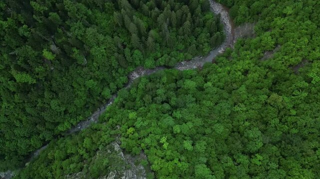 Green Lush Valleys With River Flowing Near Lepsa, Vrancea County, Romania. Aerial Drone Shot