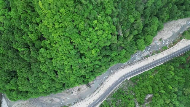 Top View Of A Rural Road In Dense Forest Valley And River Near Lepsa, Vrancea County, Romania. Aerial Shot