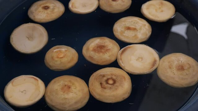 Peeled artichokes in plastic bowl at local market