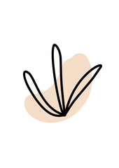 Illustration graphic floral art design minimalism decoration icons flower natural